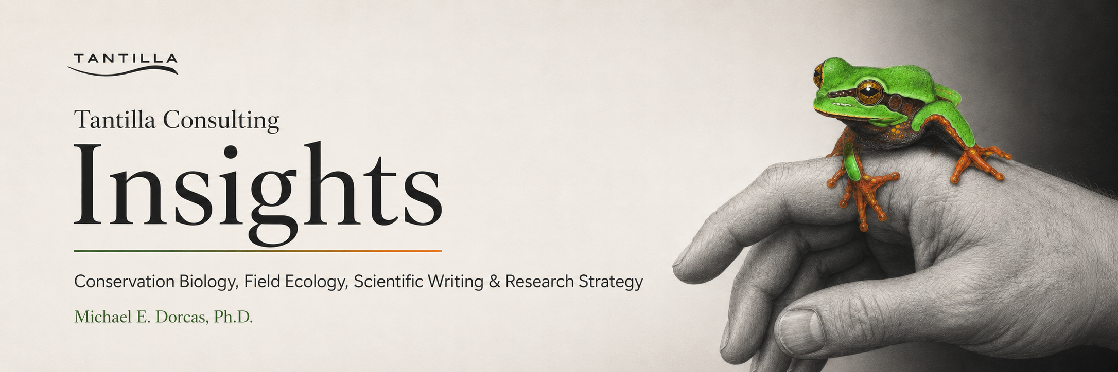 Tantilla Consulting Insights banner featuring a green treefrog on a grayscale hand.