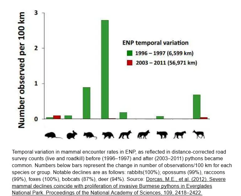 Bar graph showing mammal encounter rates in Everglades National Park before and after Burmese pythons became common, with major declines in several mammal species.