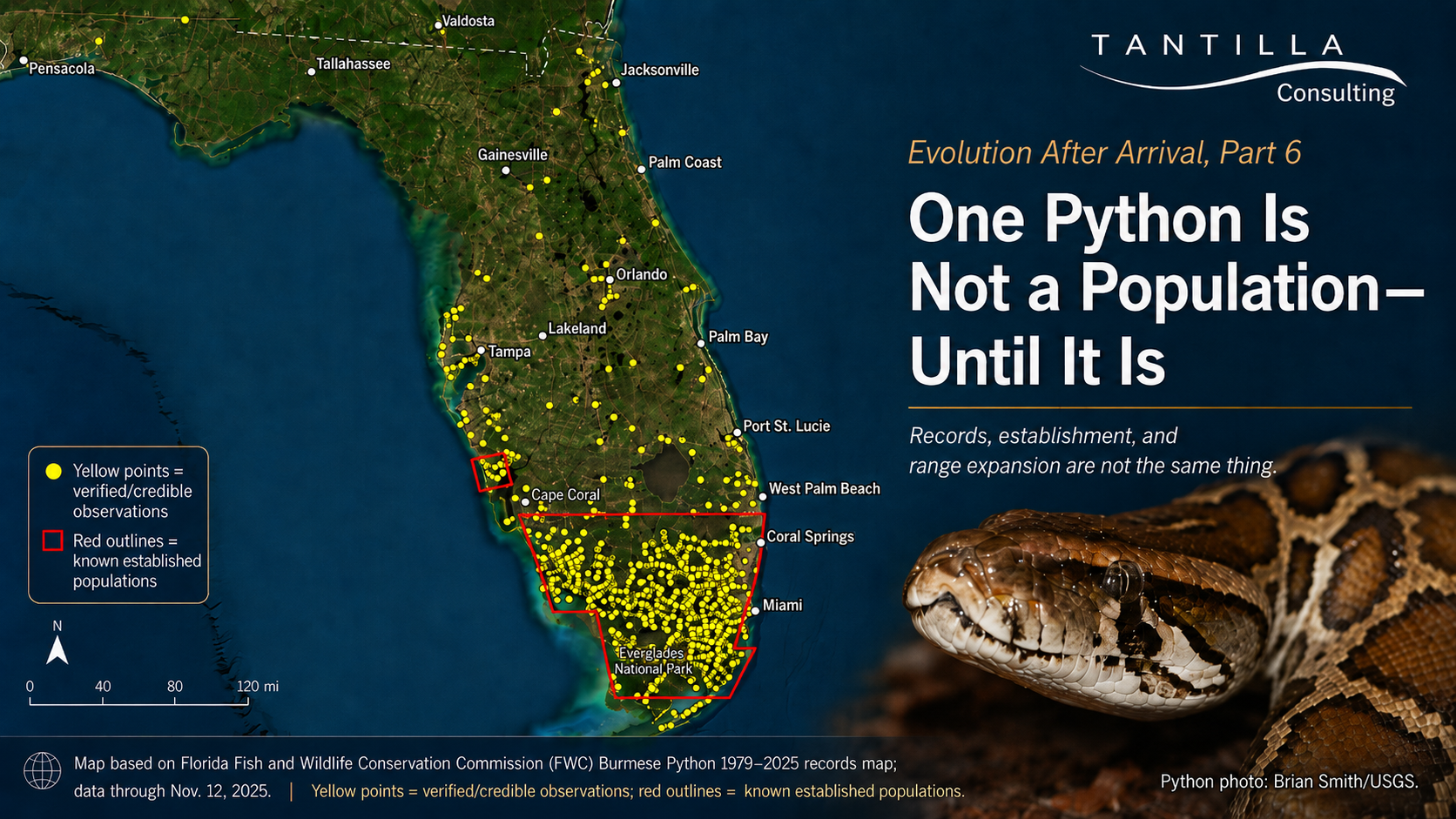 Map of Florida showing verified or credible Burmese python observations as yellow dots and known established populations outlined in red, alongside a photograph of a Burmese python.