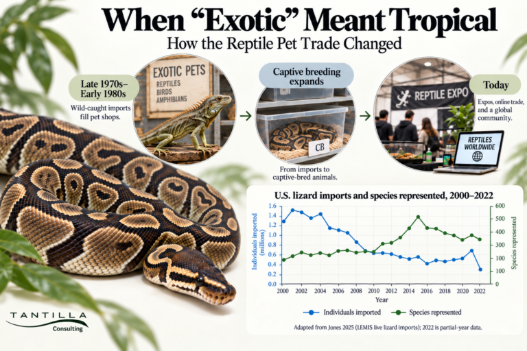Infographic showing changes in the reptile pet trade from wild-caught imports to captive breeding, expos, and online sales.