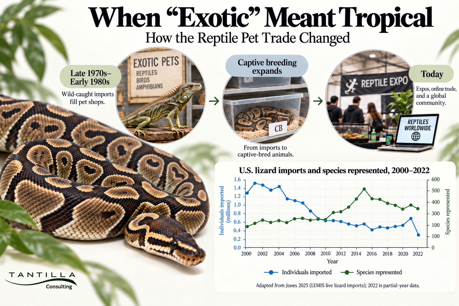 Infographic showing changes in the reptile pet trade from wild-caught imports to captive breeding, expos, and online sales.